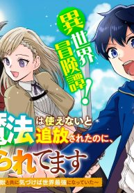 治癒魔法は使えないと追放されたのに、なぜか頼られてます～俺だけ使える治癒魔法で、聖獣と共に気づけば世界最強になっていた～